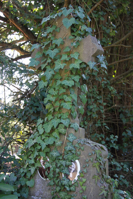 dieweg-cemetery-14