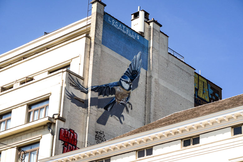 Street art rue de namur Brussels bird flying away