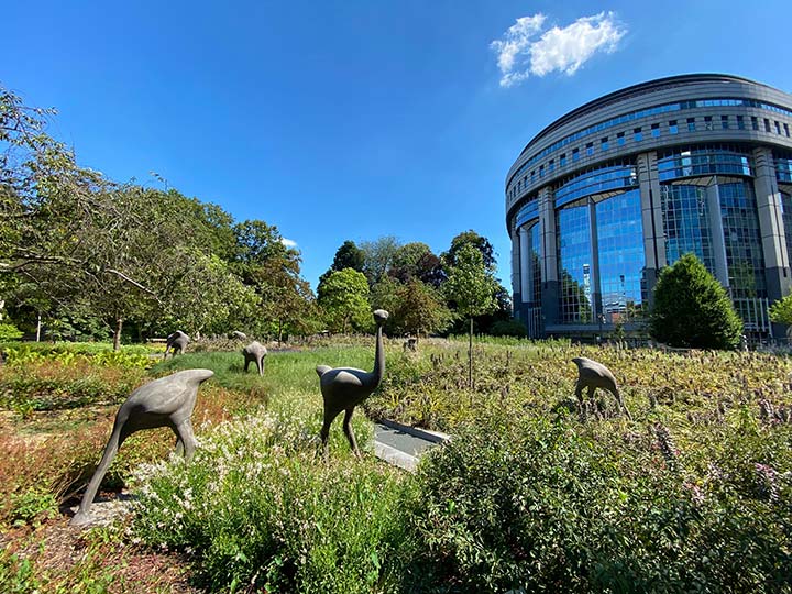 twelve Ostrich sculptures Parc Leopold back of EU Parliament Brussels